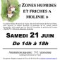 ZONES HUMIDES ET FRICHES A MOLINIE