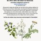 DÉCOUVERTE BOTANIQUE
