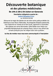 DÉCOUVERTE BOTANIQUE