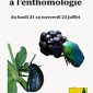 STAGE D’INITIATION A L’ENTOMOLOGIE