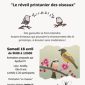 LE RÉVEIL PRINTANIER DES OISEAUX