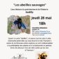 LE JEUDI DU NATURALISTE « Les abeilles sauvages »