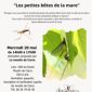 LES PETITES BÊTES DE LA MARE