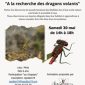 SORTIE NATURE « Les dragons volants »