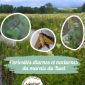 SORTIE NATURE « La petite faune des zones humides »