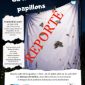 LA NUIT DES PAPILLONS